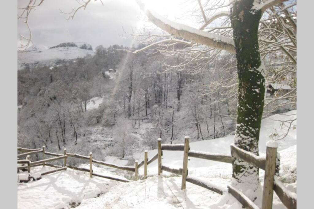 Los Pradones San Roque de Riomiera Luaran gambar