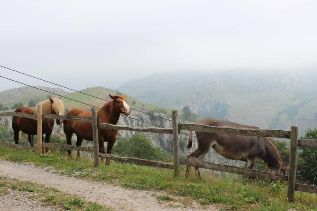 Los Pradones San Roque de Riomiera Luaran gambar